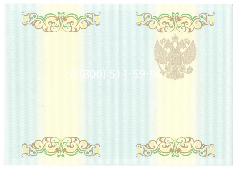 Купить Диплом бакалавра 2012-2013 годов в Чите Купить Диплом бакалавра 2012-2013 годов в Чите