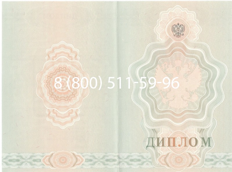 Купить Диплом ПТУ 2007-2010 годов в Чите