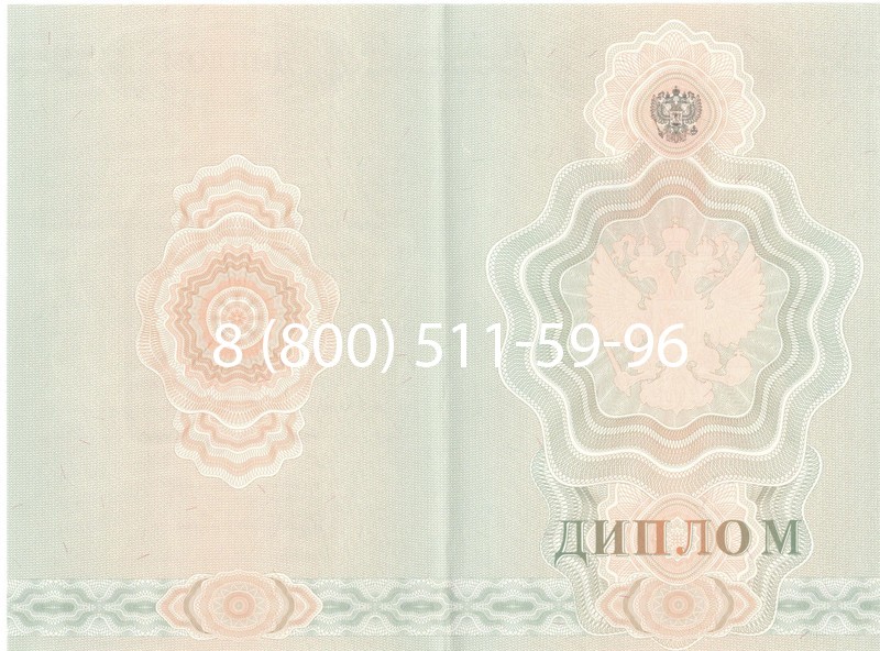 Купить Диплом училища 2007-2009 годов в Чите